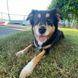 Meet your Posher, Erika